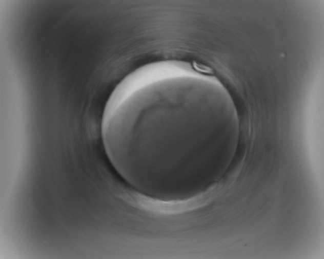 X0000115140039200911241514