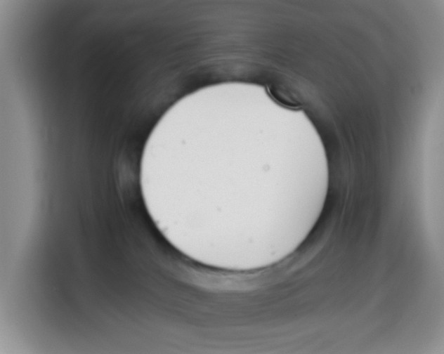 X0000115140040200911241514