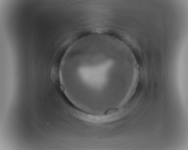 X0000115140043200911241514