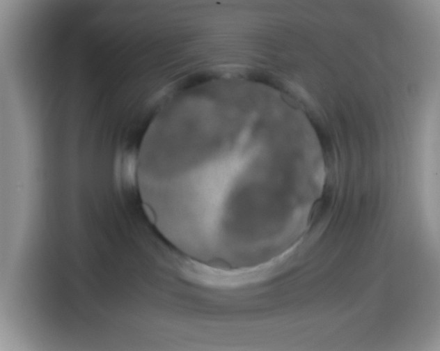 X0000115140047200911241514