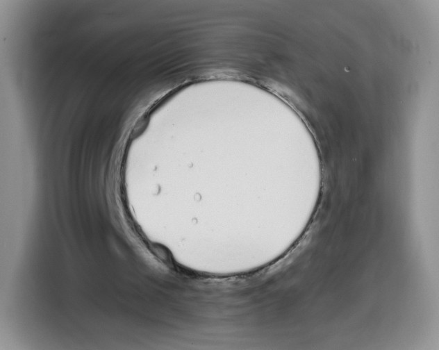 X0000115140049200911241514
