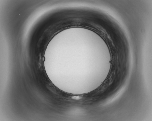 X0000115140050200911241514