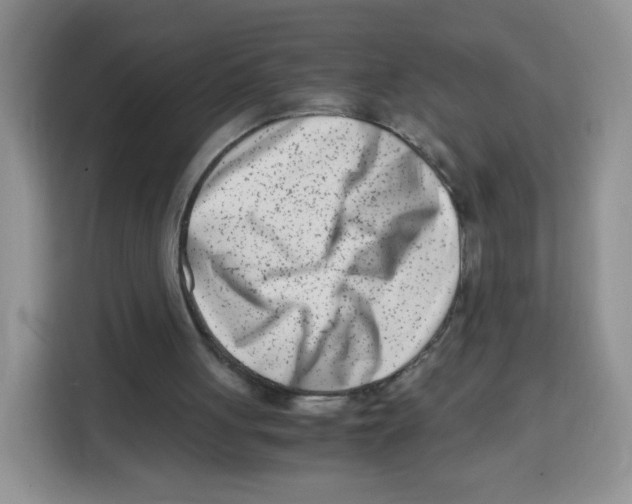 X0000115140051200911241514