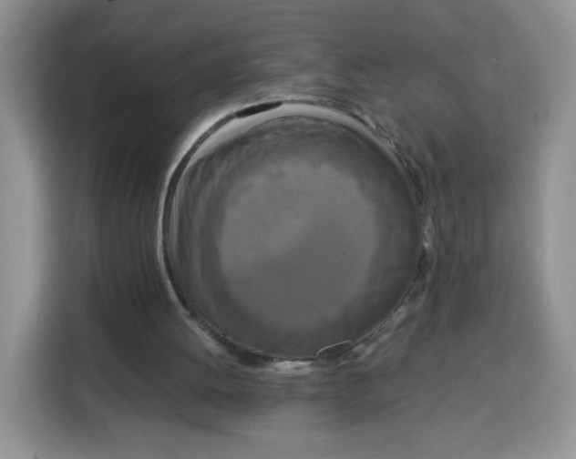 X0000115140052200911241514