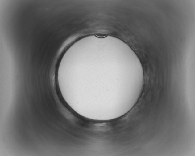 X0000115140054200911241514