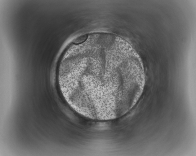 X0000115140056200911241514