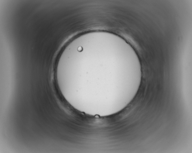 X0000115140060200911241514