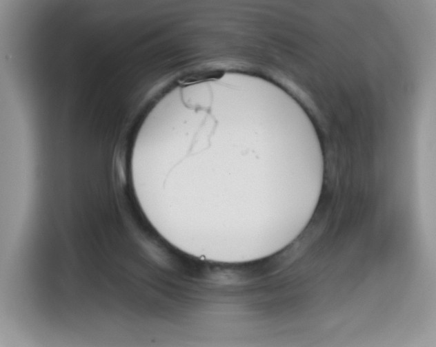 X0000115140062200911241514