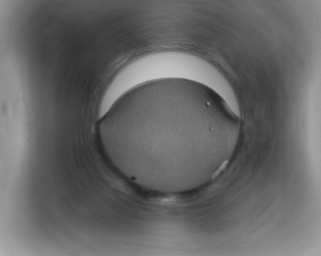 X0000115140068200911241514