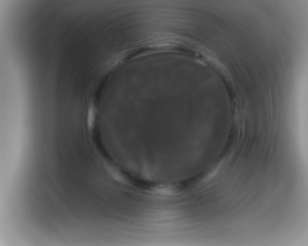 X0000115140076200911241514