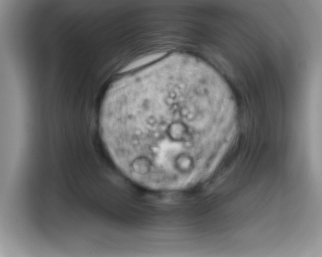 X0000115140077200911241514