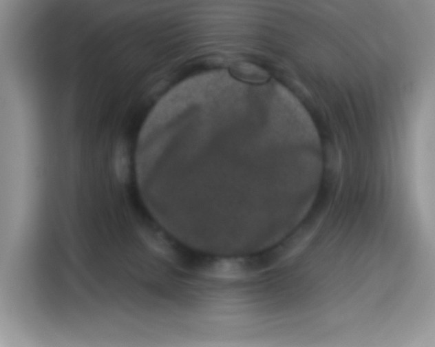 X0000115140080200911241514