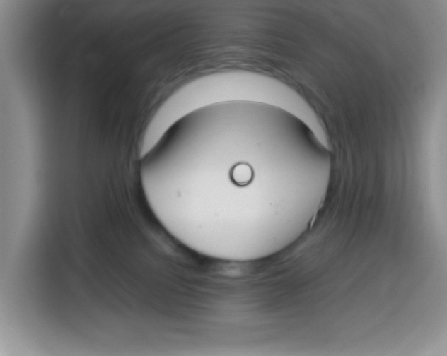 X0000115140088200911241514