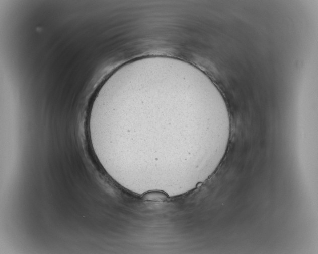 X0000115140098200911241514