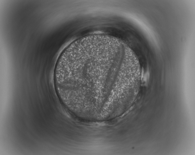 X0000115140099200911241514