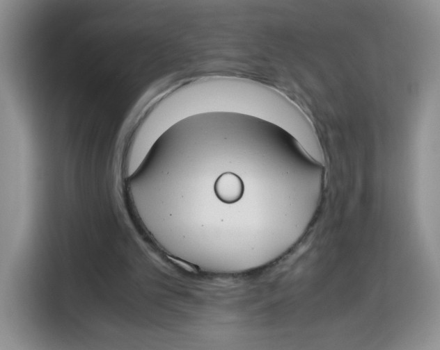 X0000115140101200911241514