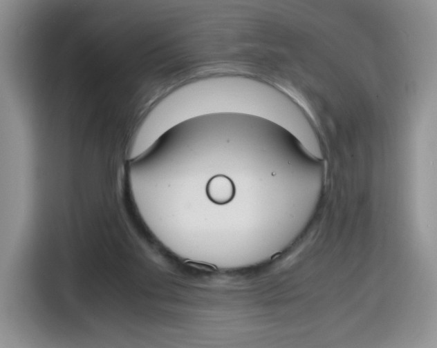 X0000115140109200911241514