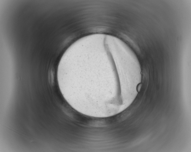 X0000115140110200911241514
