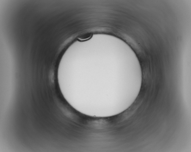 X0000115140112200911241513