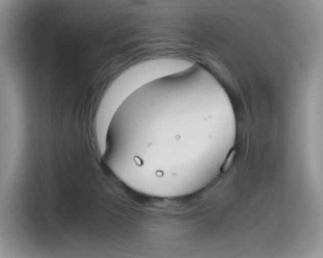 X0000115140125200911241513