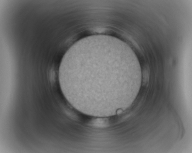 X0000115140126200911241513