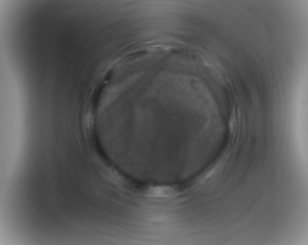 X0000115140137200911241513