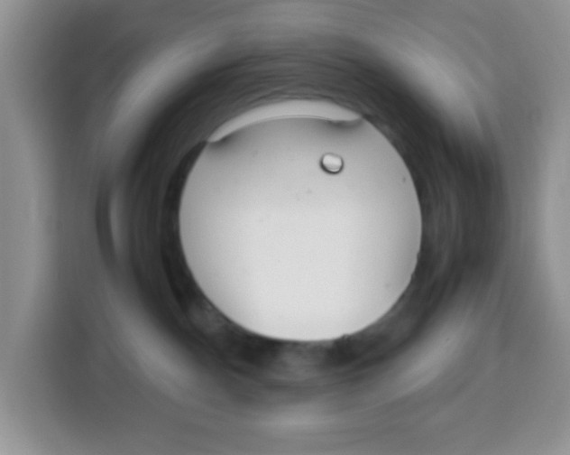 X0000115140140200911241513