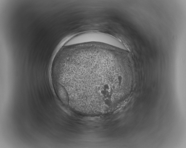 X0000115140147200911241512
