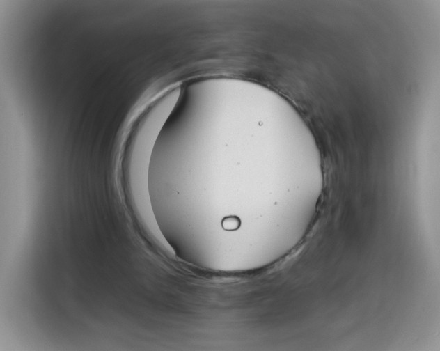 X0000115140150200911241513