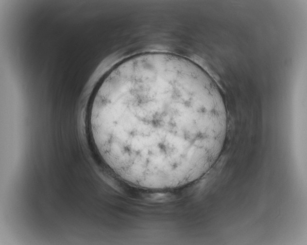 X0000115140151200911241513