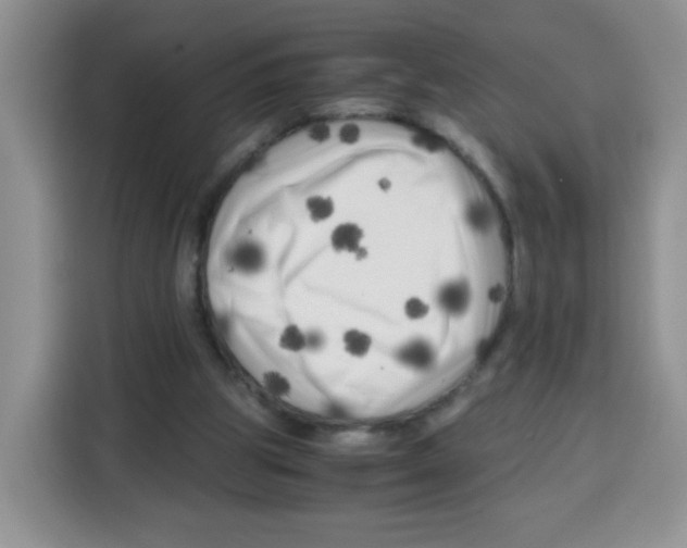 X0000115140153200911241513