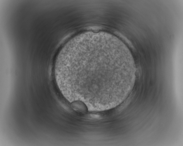 X0000115140159200911241513