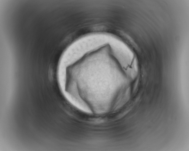 X0000115140161200911241513