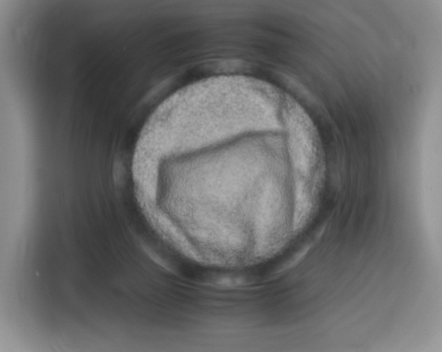 X0000115140165200911241513