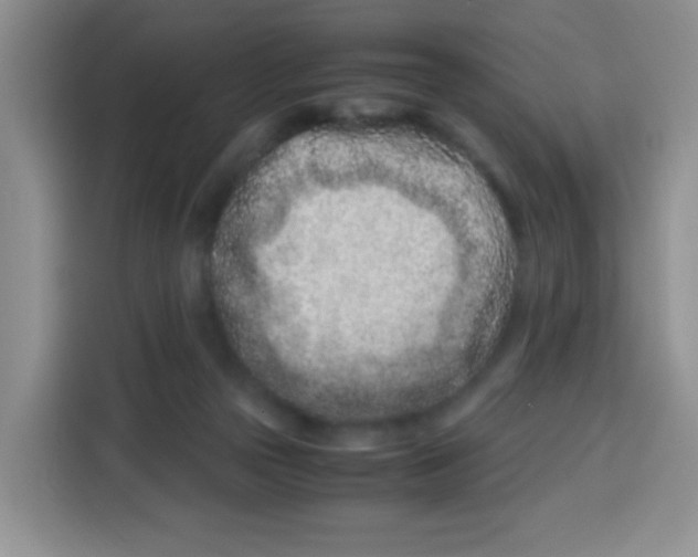 X0000115140169200911241513