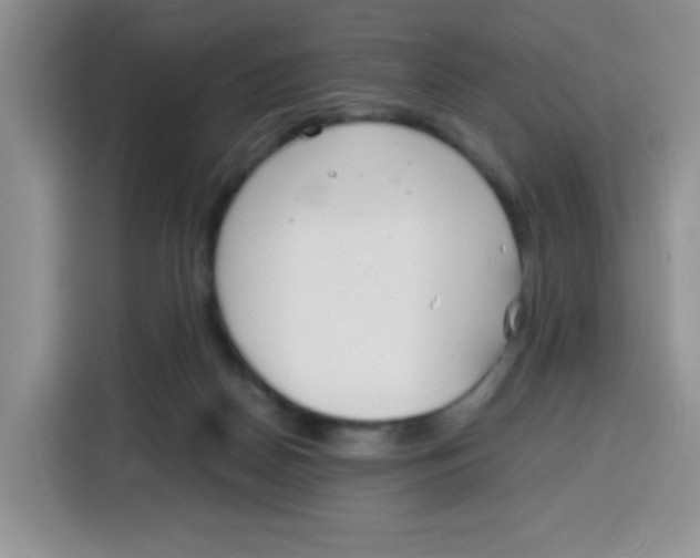 X0000115140170200911241513