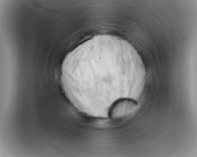 X0000115140178200911241513