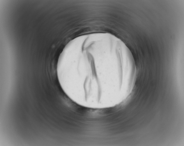 X0000115140186200911241513