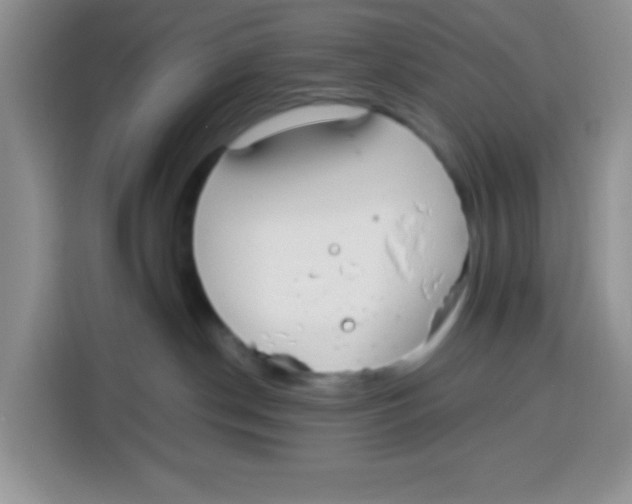 X0000115140190200911241513