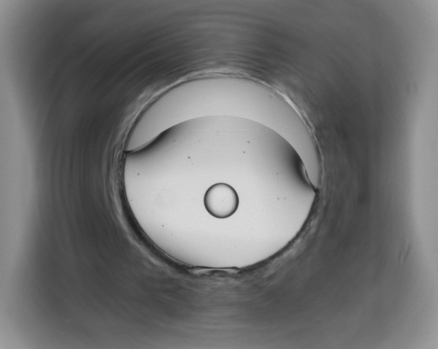 X0000115140193200911241512