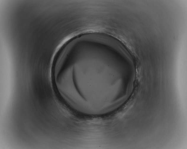 X0000115140196200911241512