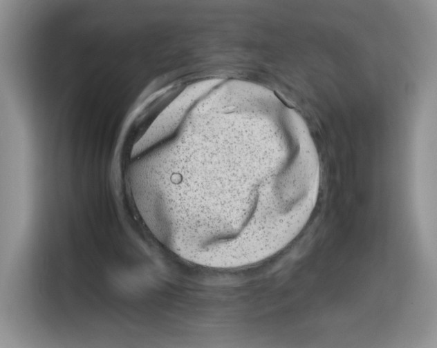 X0000115140198200911241512