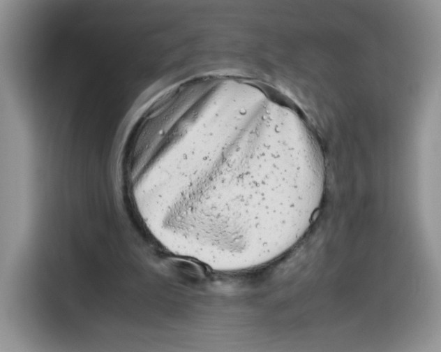 X0000115140199200911241512