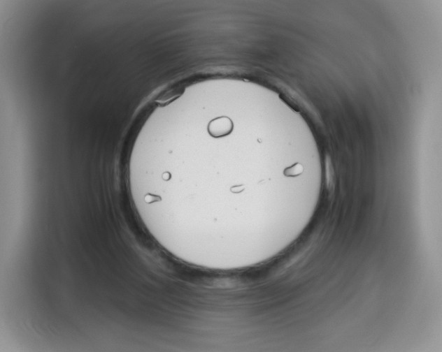 X0000115140204200911241512
