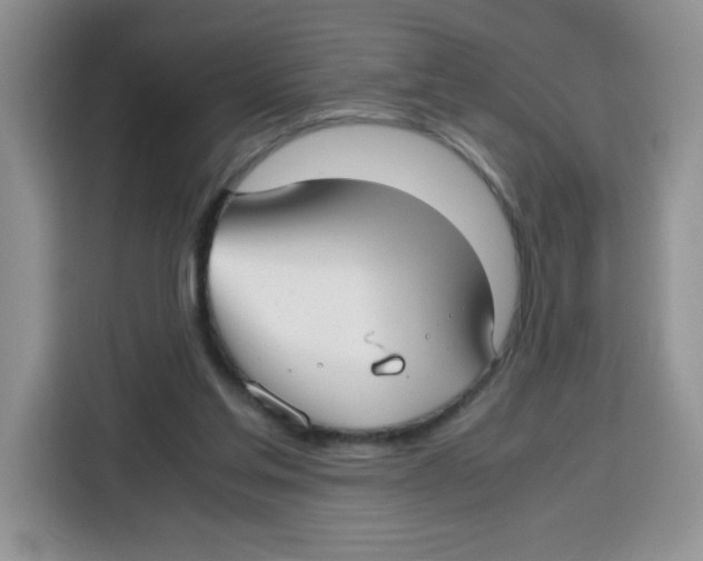 X0000115140205200911241512
