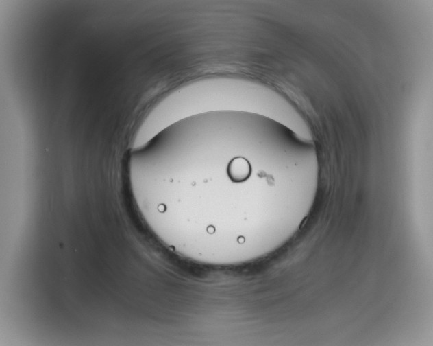 X0000115140207200911241512