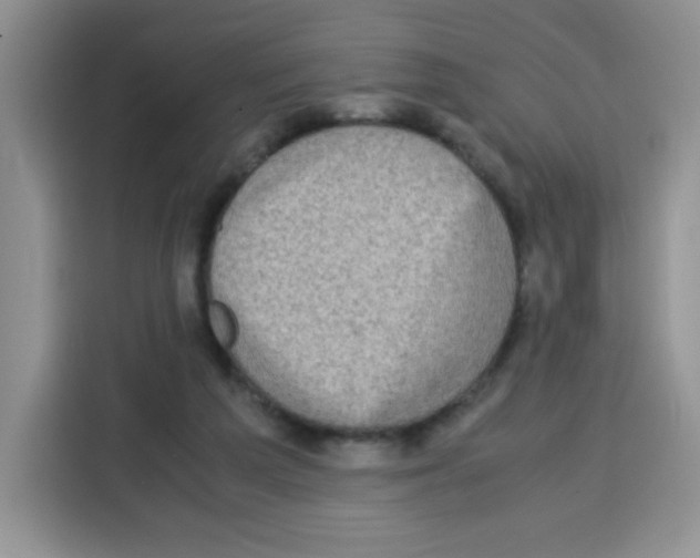 X0000115140209200911241512