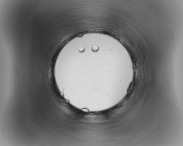 X0000115140211200911241512