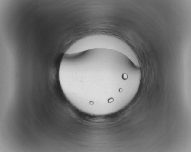 X0000115140219200911241512