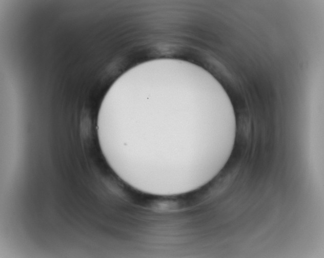 X0000115140220200911241512